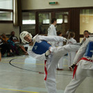 DSC08361 _Copy_.JPG
