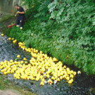 DSC04424.JPG