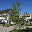 DSC_0018.JPG