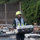 Huehner auf der A1 _4_.jpg