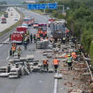 Huehner auf der A1 _9_.jpg