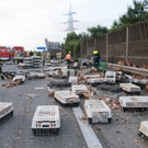 Huehner auf der A1 _12_.jpg