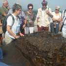 Dresden 26_-29_06_2017  _15_.jpg