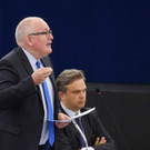 AFP_QA6M7.jpg