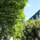 IMG_5256.JPG