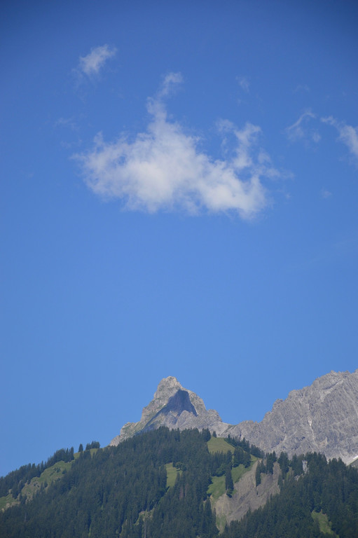 DSC_0827.jpg