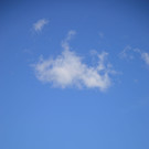 DSC_0827.jpg