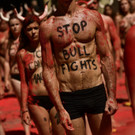 stop-bull-pamplona-protest-spanien  _7_.jpg