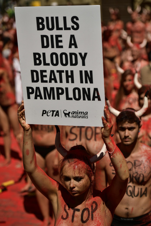 stop-bull-pamplona-protest-spanien  _10_.jpg