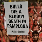 stop-bull-pamplona-protest-spanien  _10_.jpg