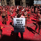 stop-bull-pamplona-protest-spanien  _16_.jpg