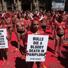 stop-bull-pamplona-protest-spanien  _18_.jpg