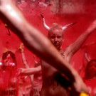 stop-bull-pamplona-protest-spanien  _22_.jpg
