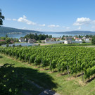 Reichenau  29.jpg