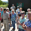 Reichenau  26.jpg