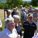 Reichenau  27.jpg