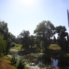 Brest Altach _5_.JPG