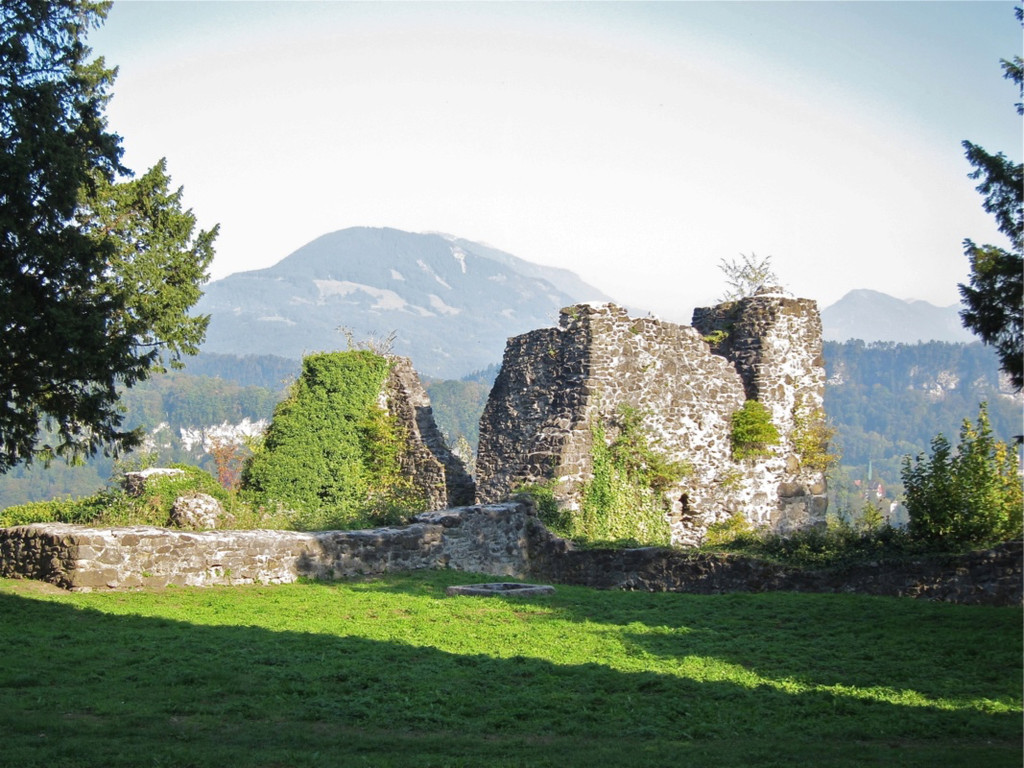 KOE_Tostner Burg Vandalismus 12.jpg