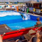 Opening der Multiplex Citywave  _89 von 93_.jpg