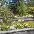 20170701_105648.jpg