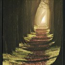 Trauer Zum Abschied.jpg