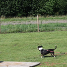 DSC_0188.JPG