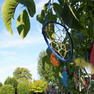 DSC06899.jpg