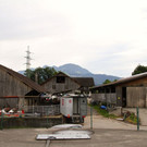 IMG_3400.jpg
