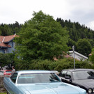 DSC_0215.JPG
