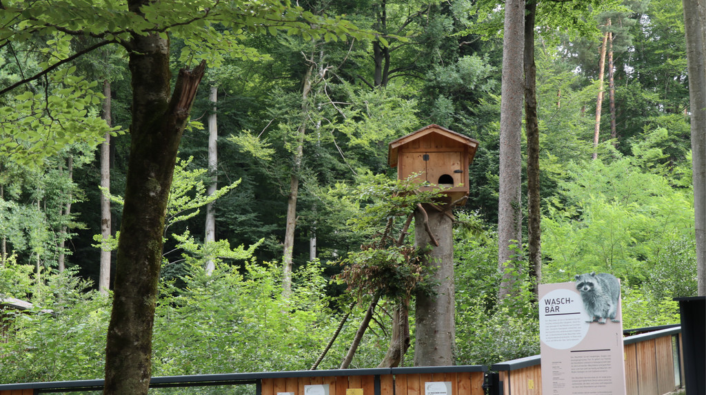 KOE_Wildpark Fruehschoppen 2017 2.jpg