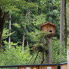 KOE_Wildpark Fruehschoppen 2017 2.jpg