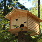 KOE_Wildpark Fruehschoppen 2017 3.jpg