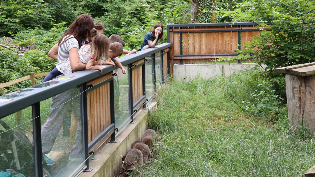 KOE_Wildpark Fruehschoppen 2017 6.jpg