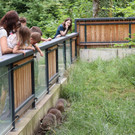 KOE_Wildpark Fruehschoppen 2017 6.jpg