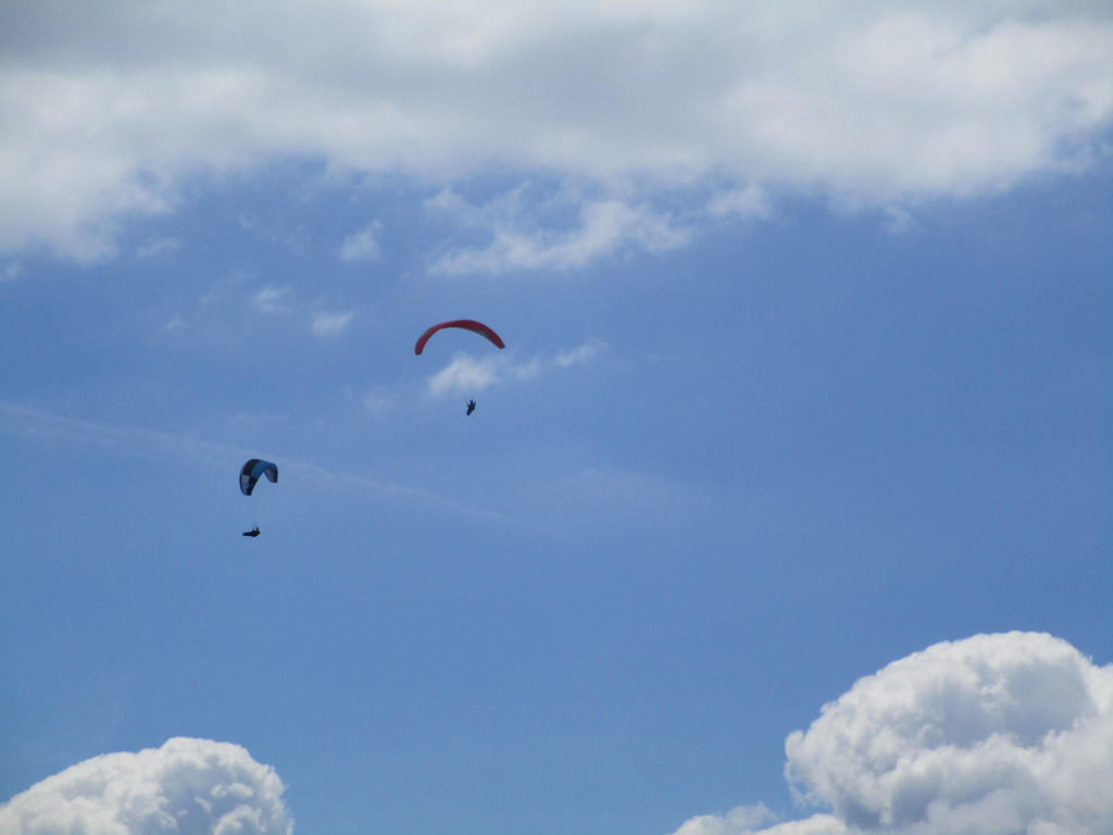 IMG_8289.JPG