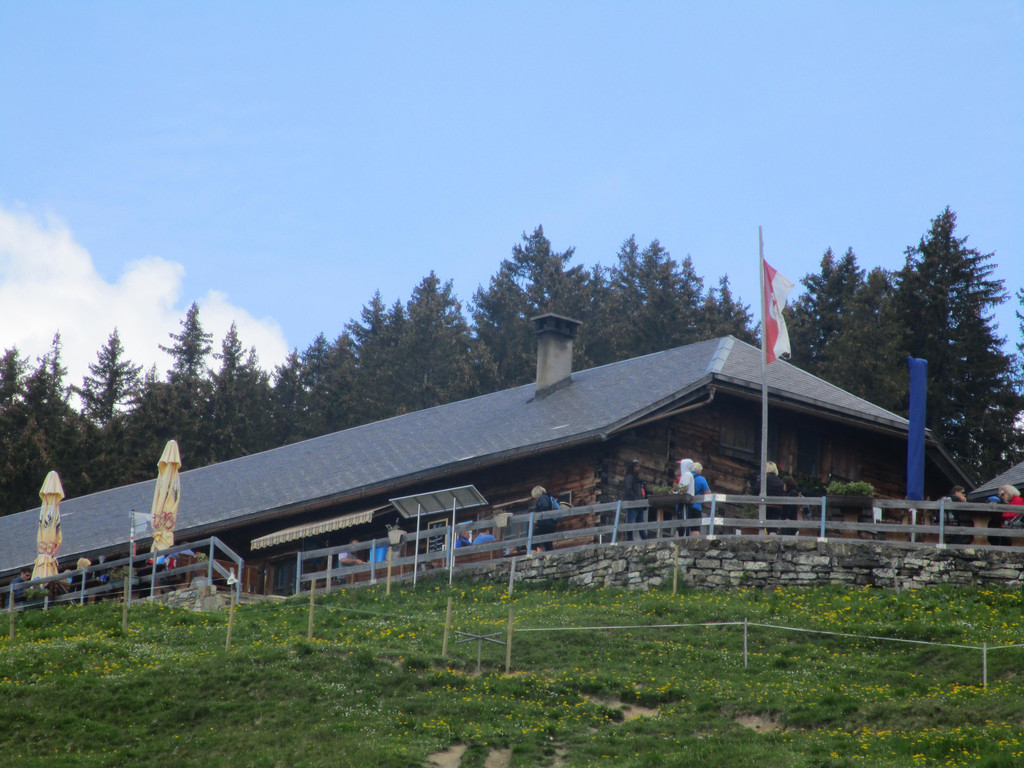 IMG_8302.JPG