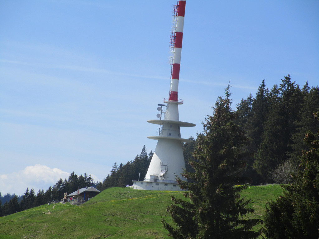 IMG_8311.JPG