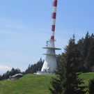 IMG_8311.JPG