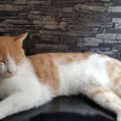 20161017_124659_resized _2_.jpg