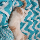 20170106_125156_resized.jpg