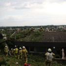 Baum auf Haus