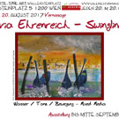 2017_08_20  VERNISSAGE Ehrenreich.jpg