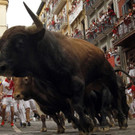 Spain_Running_of_the_Bulls_35399.jpg