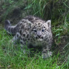 20170714fmt_zoobabys_ta_018.JPG