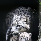20170714fmt_zoobabys_ta_020.JPG