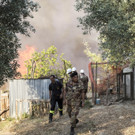 Italy_Forest_Fires_28876.jpg