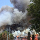 Italy_Forest_Fires_31452.jpg
