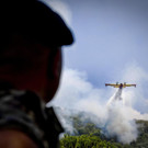 Italy_Forest_Fires_85517.jpg