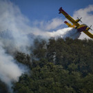 Italy_Forest_Fires_75286.jpg