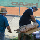 IMG_5012.JPG
